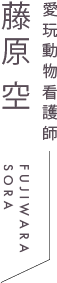 愛玩動物看護師 藤原 空 FUJIWARA SORA