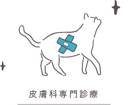 皮膚科専門診察
