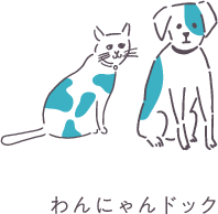 わんにゃんドック(健康診断)について
