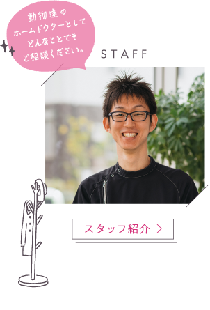 スタッフ紹介
