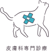皮膚科専門診療