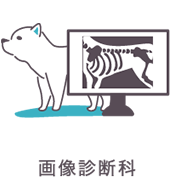 画像診断科専門診療