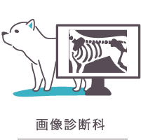 画像診断科
