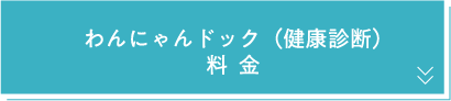わんにゃんドック（健康診断）料金