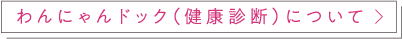 わんにゃんドック（健康診断）について