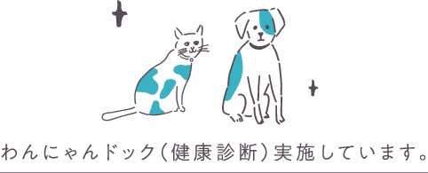 わんにゃんドック（健康診断）実施しています。
